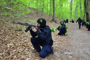 Obserwacja wzgórza przy leśnej drodze.