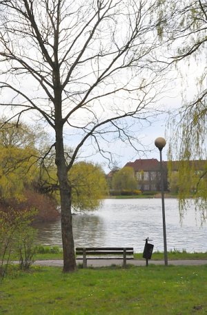 Obecny widok na główny budynek dydaktyczny znad stawu Łabędziego.