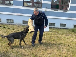 policjant z psem służbowym